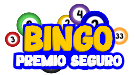 Premio Seguro Bingo